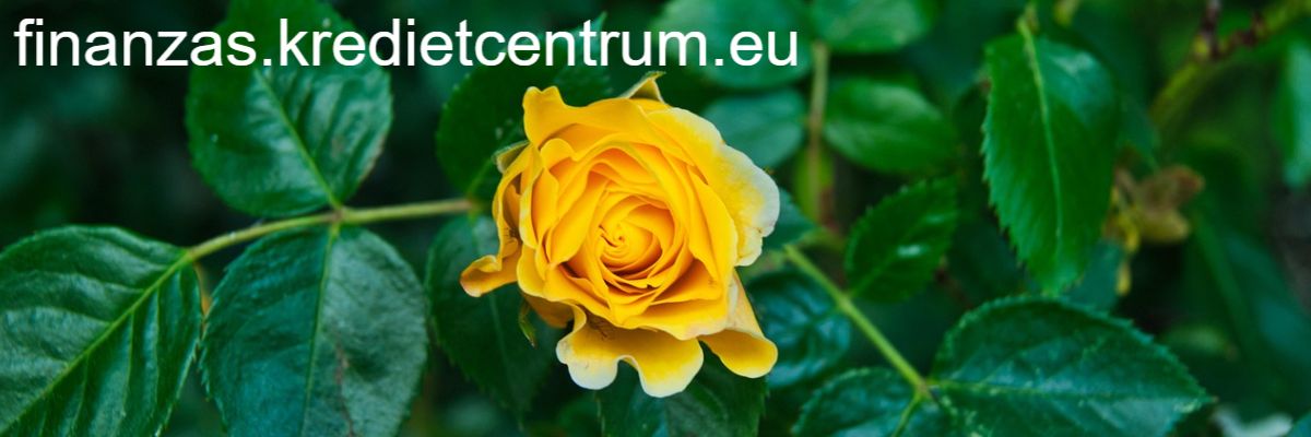 finanzas.kredietcentrum.eu